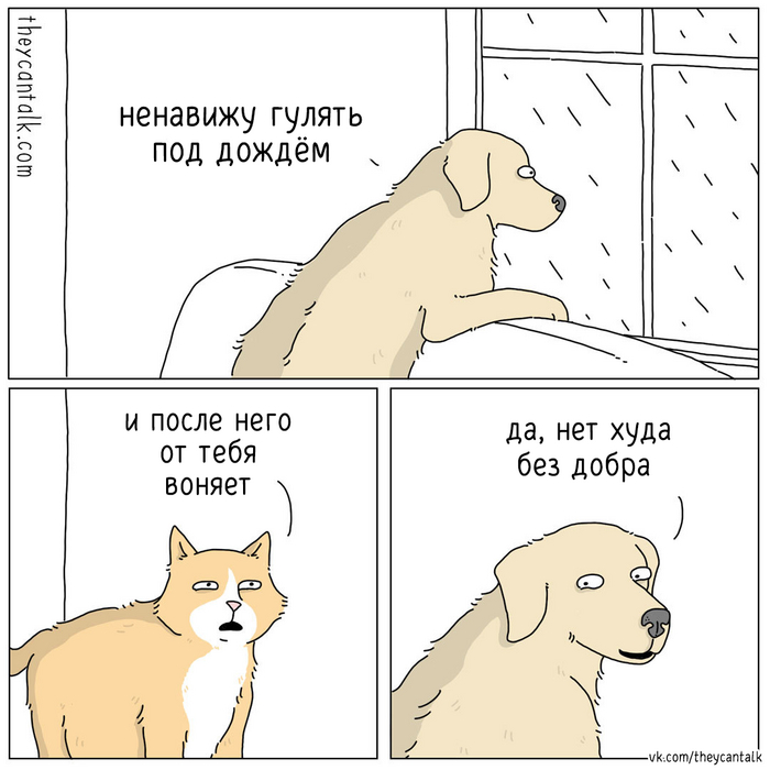  Theycantalk, ,  , ,    , 